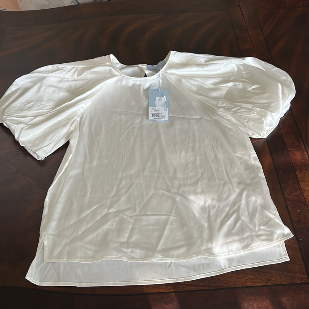 Antonio Melani Delanie Jewel Neck Short Balloon Sleeve Silk Blouse - Picture 14 of 14